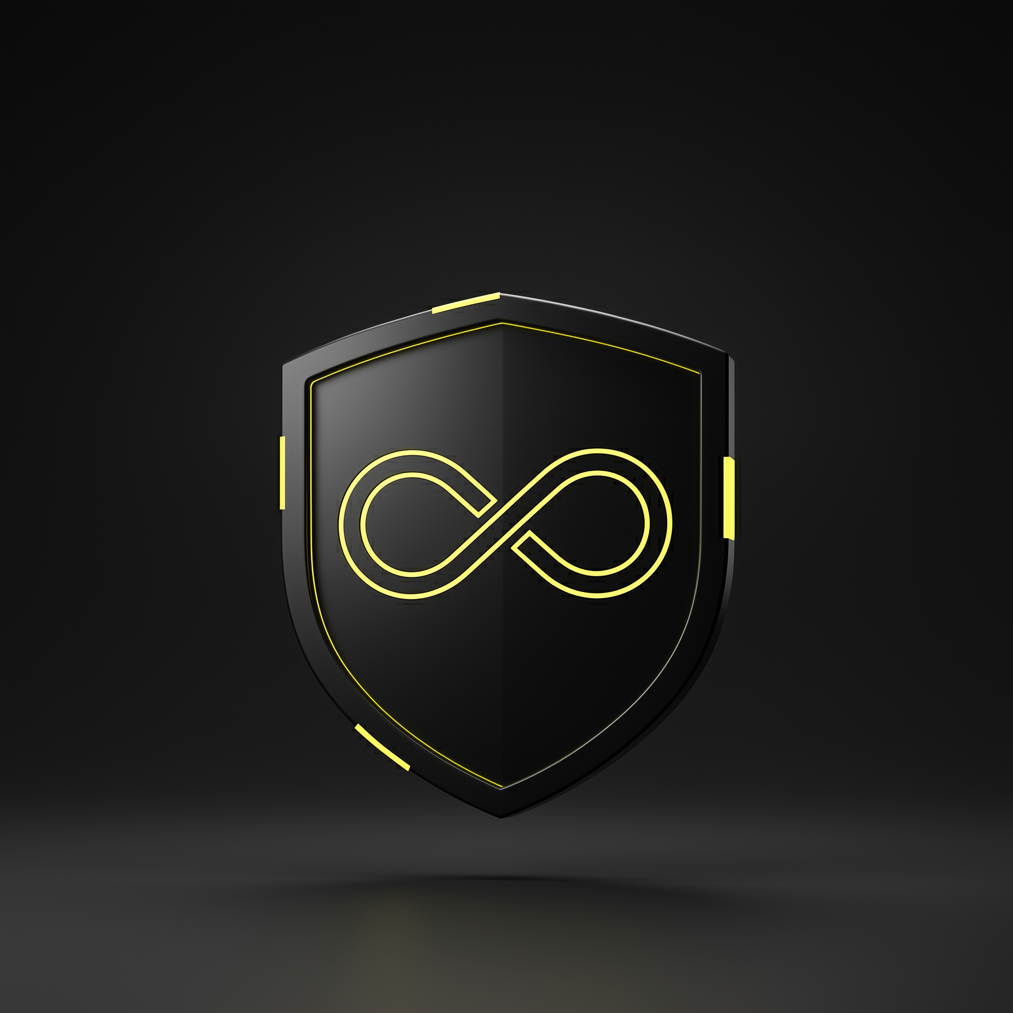 Icône garantie à vie Flash Pare-Brise